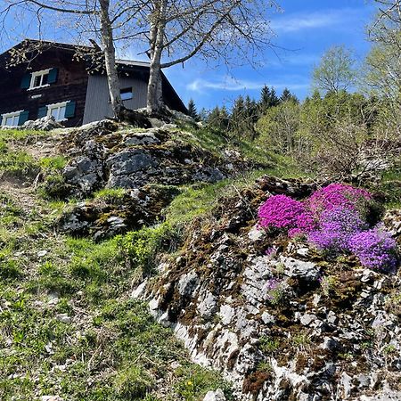 Alpenchalet Piz Huesli Tschagguns Exterior photo